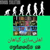اهلی سازی گیاهان