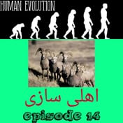 اهلی سازی